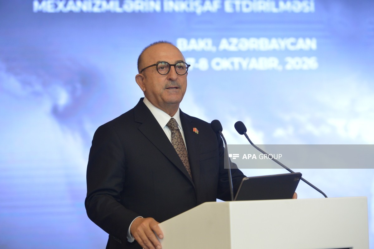 Türkiyə parlamentinin üzvü, Türkiyənin sabiq xarici işlər naziri Mövlud Çavuşoğlu