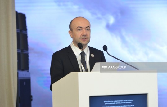 Azərbaycan xarici işlər nazirinin müavini Fariz Rzayev
