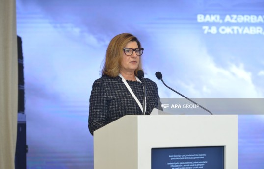 ICMP-nin baş direktoru Katrin Bomberger