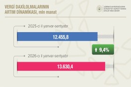 Qeyri-neft-qaz sektorundan vergi daxilolmaları 12,6% artıb