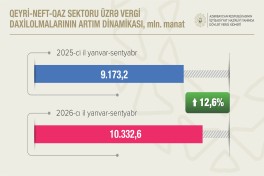 Qeyri-neft-qaz sektorundan vergi daxilolmaları 12,6% artıb