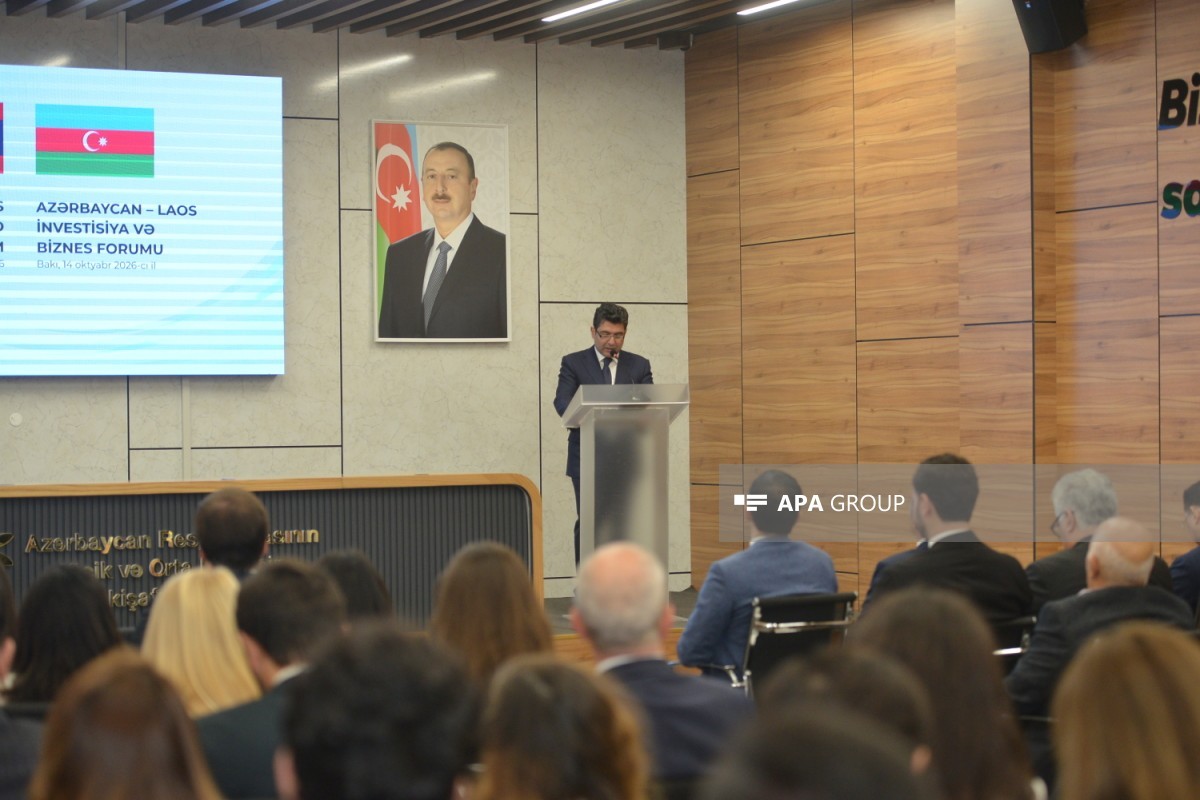 İqtisadiyyat nazirinin müavini Anar Axundov