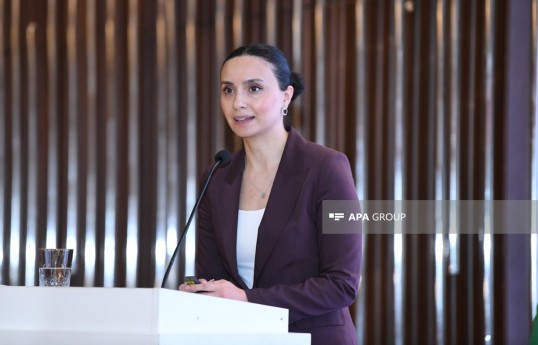 İqtisadiyyat Nazirliyinin Layihələrin idarə olunması şöbəsinin Dövlət-özəl tərəfdaşlığı sektorunun müdiri Türkan Vüsət