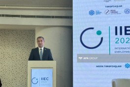 Bakıda inklüziv məşğulluq sahəsinə həsr olunmuş I beynəlxalq konfrans keçirilib - FOTO 
