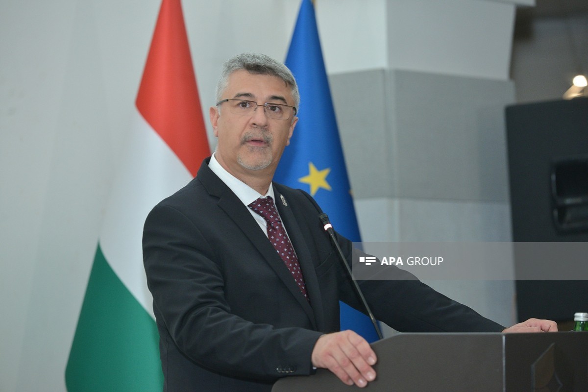 Macarıstanın Azərbaycandakı səfiri Tamaş Torma