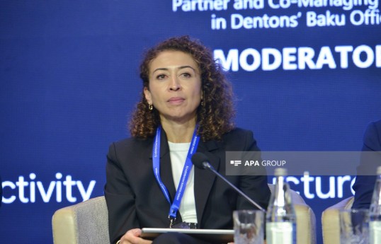 Almaniya–Azərbaycan Xarici Ticarət Palatasının İcraçı direktoru və İdarə Heyətinin üzvü Nargis Wieck