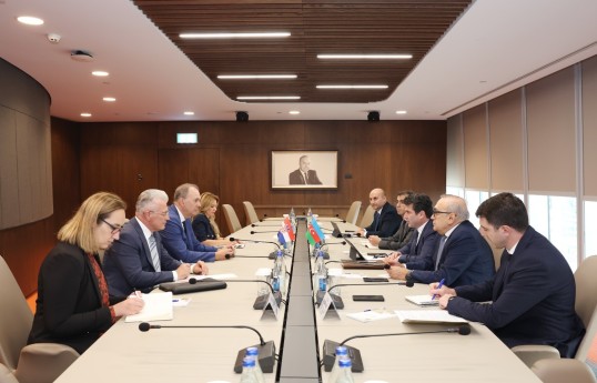 Xorvatiya şirkətlərinin Azərbaycandakı layihələrdə iştirak imkanları müzakirə olunub