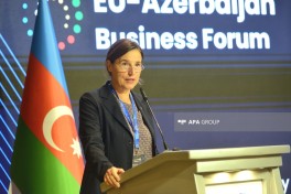 Bakıda Azərbaycan–Avropa İttifaqı Biznes Forumu keçirilir - FOTO 