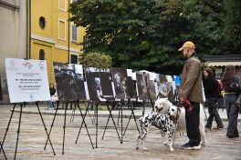 Avropanın bir sıra şəhərlərində Ermənistanın mina təhlükəsinə qarşı etiraz aksiyaları keçirilir - FOTO 
