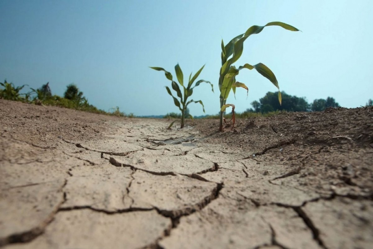 Azerbaijan regulates climate change mitigation measures in agricultural legislation for first time