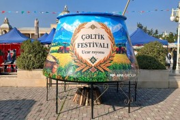 Ucarda “Aqrar Biznes” və “I Çəltik” festivalı keçirilib - FOTO 