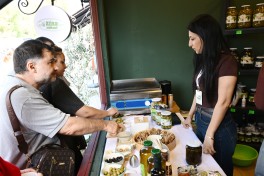 Bakı Bulvarında Zeytun Festivalı davam edir - FOTO 