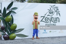 Bakı Bulvarında Zeytun Festivalının son günüdür  - FOTOLENT 