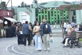Bakı Bulvarında Zeytun Festivalının son günüdür  - FOTOLENT 