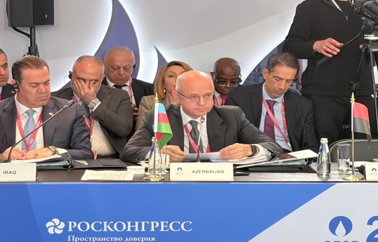 Energetika naziri: Qaza artan tələbat fonunda investisiya qərarları bu gün verilməlidir