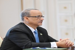 Prezident İlham Əliyev İslam Əməkdaşlıq Təşkilatının baş katibini qəbul edib