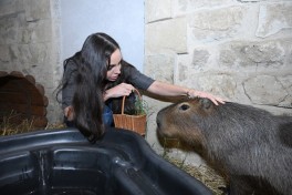 Leyla Əliyeva Şamaxıda “Capybara Azerbaijan” fermasında olub