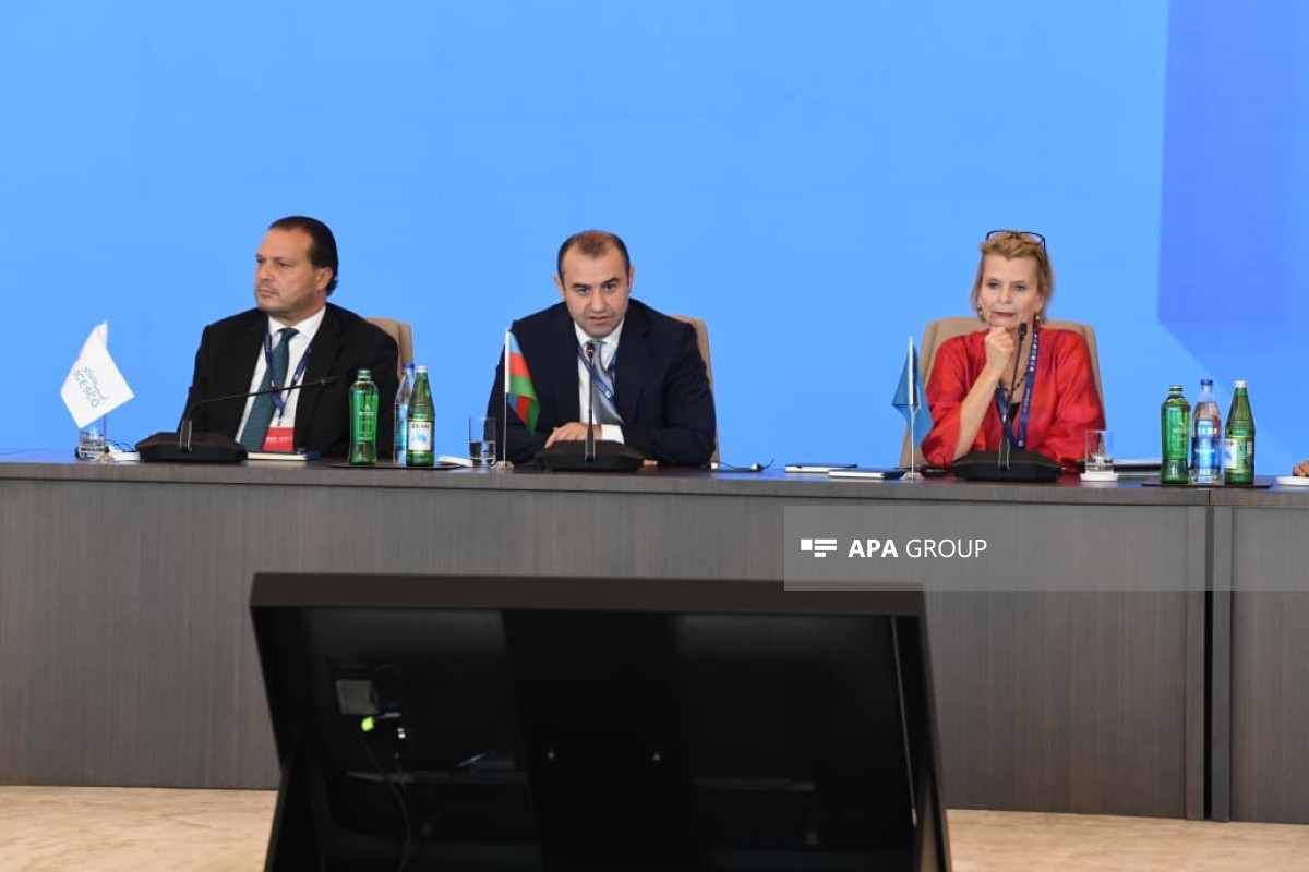 Nazir müavini: Bakı Forumunun təklifləri yekun sənəddə əksini tapacaq