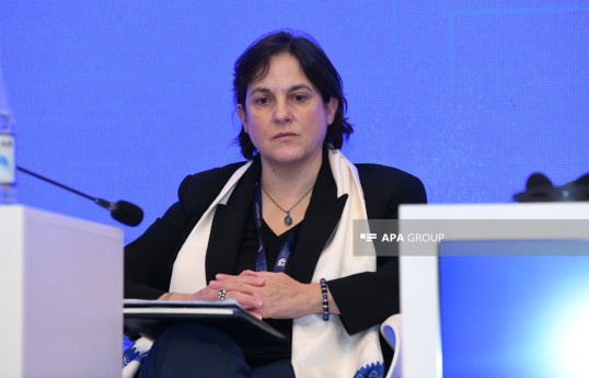 Avropa Şurası Baş katibinin antisemitizm, anti-müsəlman nifrəti və dini dözümsüzlüyün bütün formaları üzrə Xüsusi Nümayəndəsi İrene Kitsou
