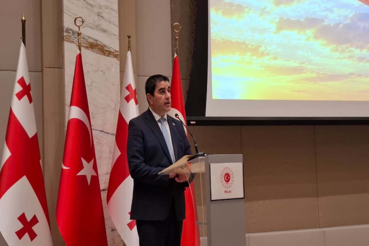 Gürcüstan parlamentinin sədri Şalva Papuaşvili