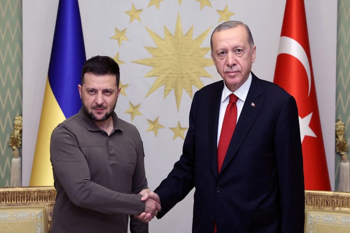 Ərdoğan Zelenskini qəbul edib