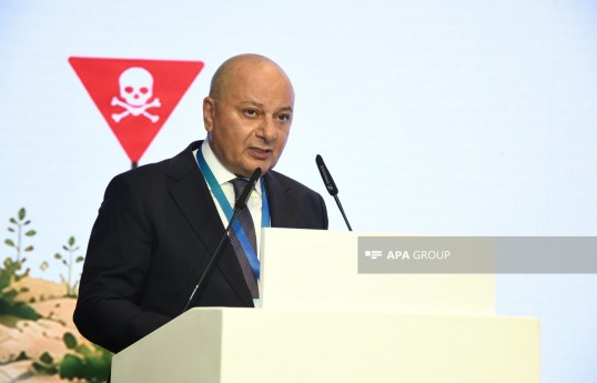 ANAMA-nın İdarə Heyətinin sədri Vüqar Süleymanov