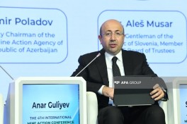 4-cü Beynəlxalq Minatəmizləmə Konfransı çərçivəsində panel müzakirə olub - FOTO 