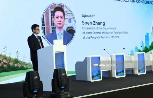 Çin Xarici İşlər Nazirliyinin Silahlara Nəzarət Departamentinin müşaviri Shen Zhang