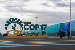 Deputat Pərvanə Vəliyeva COP17-də iştirak edib