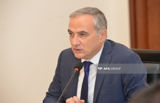 Beynəlxalq Münasibətlərin Təhlili və Multikulturalizm Mərkəzinin İdarə Heyətinin sədri Fərid Şəfiyev