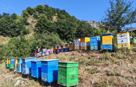 Qubada bu il 200 tona yaxın bal istehsal edilib