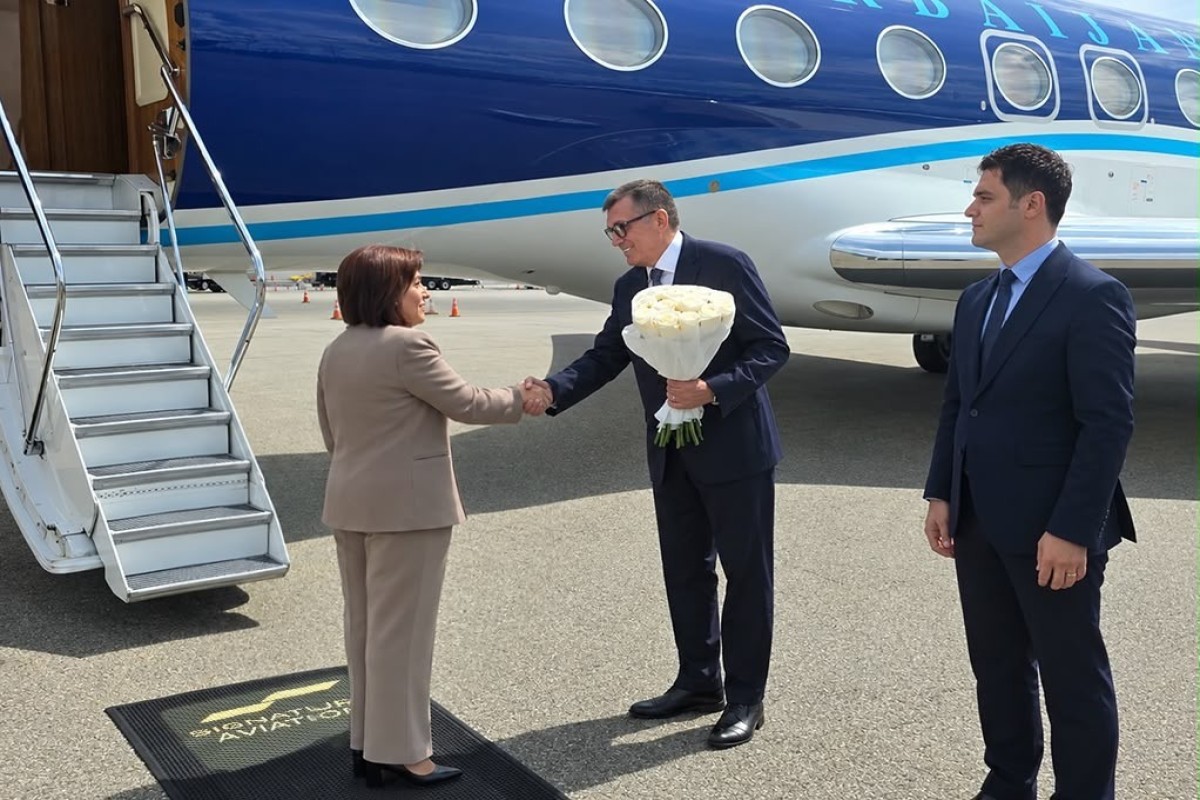 Speaker of Azerbaijani parliament pays official visit to US
