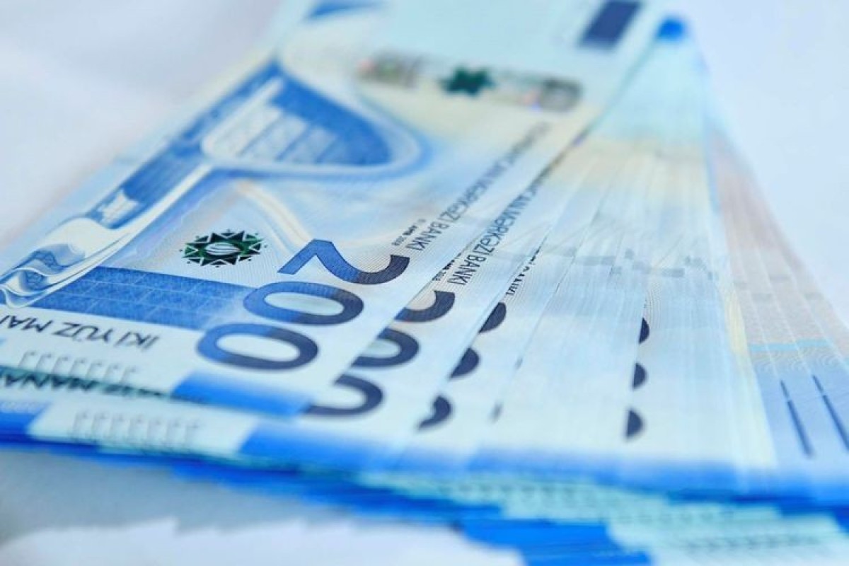 8 ayda dövlət büdcəsindən 224,2 mln. manat geri qaytarılıb