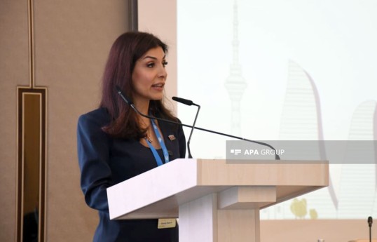 COP29-un iqlim üzrə yüksəksəviyyəli çempionu, Milli Məclisin deputatı Nigar Arpadarai