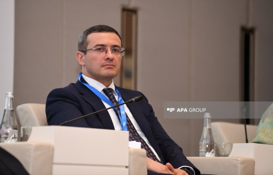 Azərbaycanın Xarici İşlər Nazirliyinin İqlim Diplomatiyası Departamentinin direktoru, COP31 Bürosunun vitse-prezidenti və Adaptasiya Fondu İdarə Heyətinin üzvü Elçin Allahverdiyev