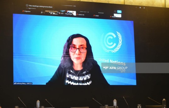 BMT-nin İqlim Dəyişmələri üzrə Çərçivə Konvensiyasının (UNFCCC) Katibliyinin Şəffaflıq Bölməsinin direktoru Xuehong Wang