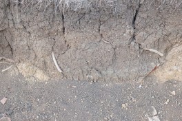 Cəlilabadda yol tikintisi zamanı qədim əşyalar aşkarlanıb - FOTO 