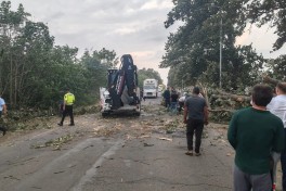 Cəlilabadda güclü külək nəticəsində ağac maşının üstünə aşıb - FOTO 