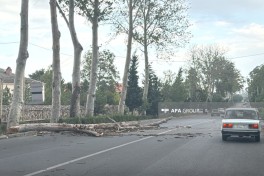 Güclü külək Bərdə, Tərtər və Ağdamda fəsadlar yaradıb - FOTO 