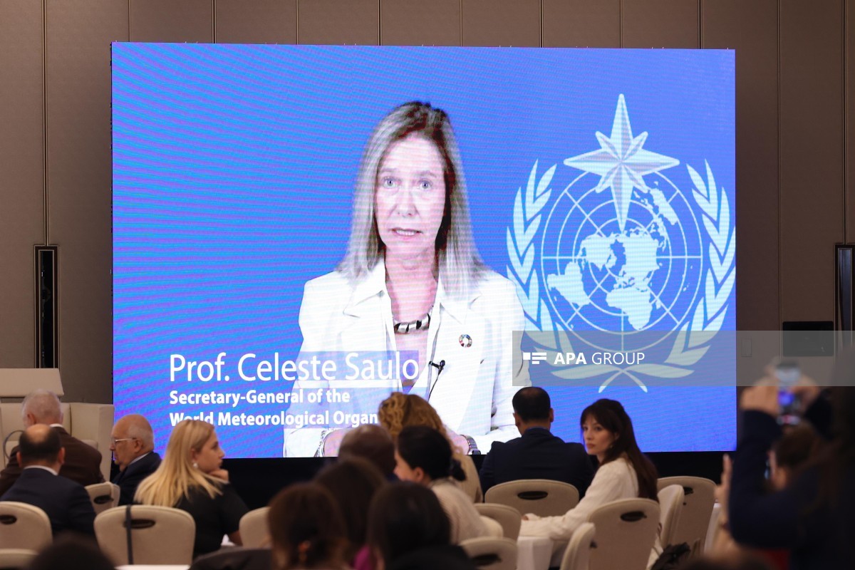 Ümumdünya Meteorologiya Təşkilatının (WMO) Baş katibi, professor Celeste Saulo
