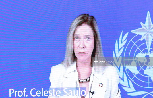 Ümumdünya Meteorologiya Təşkilatının (WMO) Baş katibi, professor Celeste Saulo