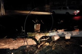 Lənkəranda güclü külək fəsadlar törədib, elektrik təsərrüfatına ciddi ziyan dəyib - FOTO 