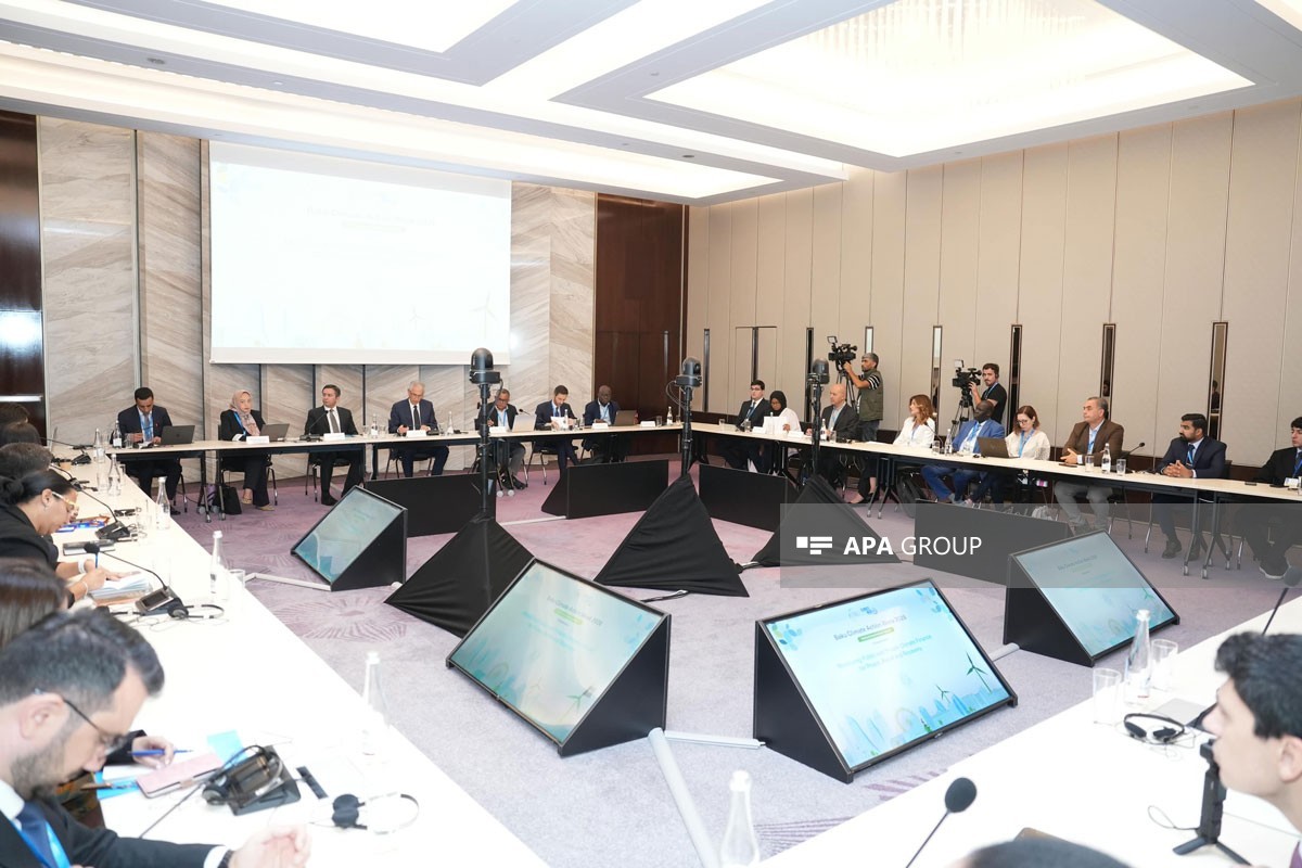 UNECE rəsmisi: Orta Dəhlizin “yaşıl dəhliz” kimi inkişafı Azərbaycan üçün böyük imkandır