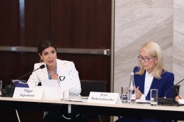 Bakı İqlim Fəaliyyəti Həftəsi çərçivəsində dəyirmi masa keçirilib - FOTO 