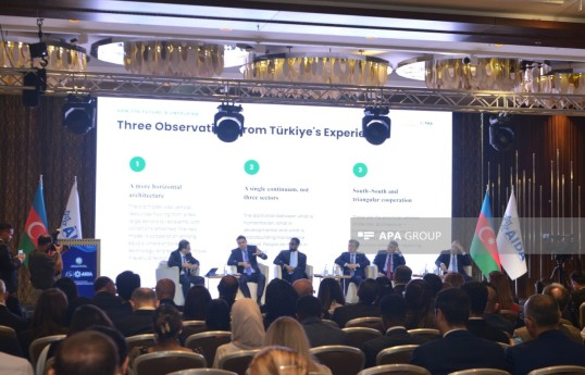 Bakıda AIDA-nın 15 illiyi münasibətilə panel müzakirəsi keçirilib - FOTO 