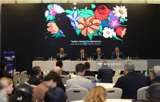 COP31-in keçiriləcəyi məkanla bağlı detallar açıqlanıb