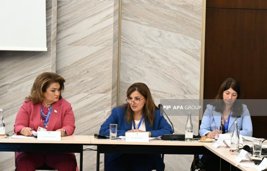 Qarabağ və Şərqi Zəngəzurda 130 abidənin inventarlaşdırılması başa çatmayıb