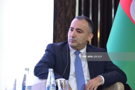 Bakıda AIDA-nın 15 illiyi münasibətilə panel müzakirəsi keçirilib - FOTO 