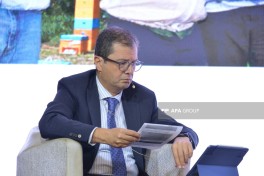 Bakıda AIDA-nın 15 illiyi münasibətilə panel müzakirəsi keçirilib - FOTO 