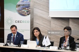 Bakı İqlim Fəaliyyəti Həftəsi çərçivəsində növbəti panel müzakirə keçirilib - FOTO 